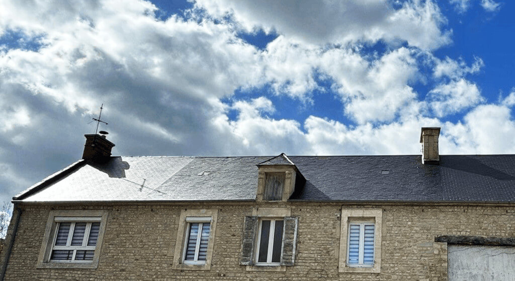 Business professional